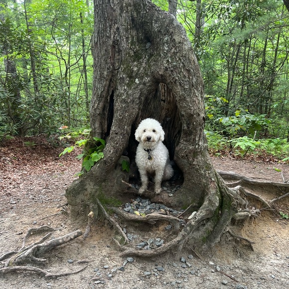 Rickie O - Picture 7 of 7